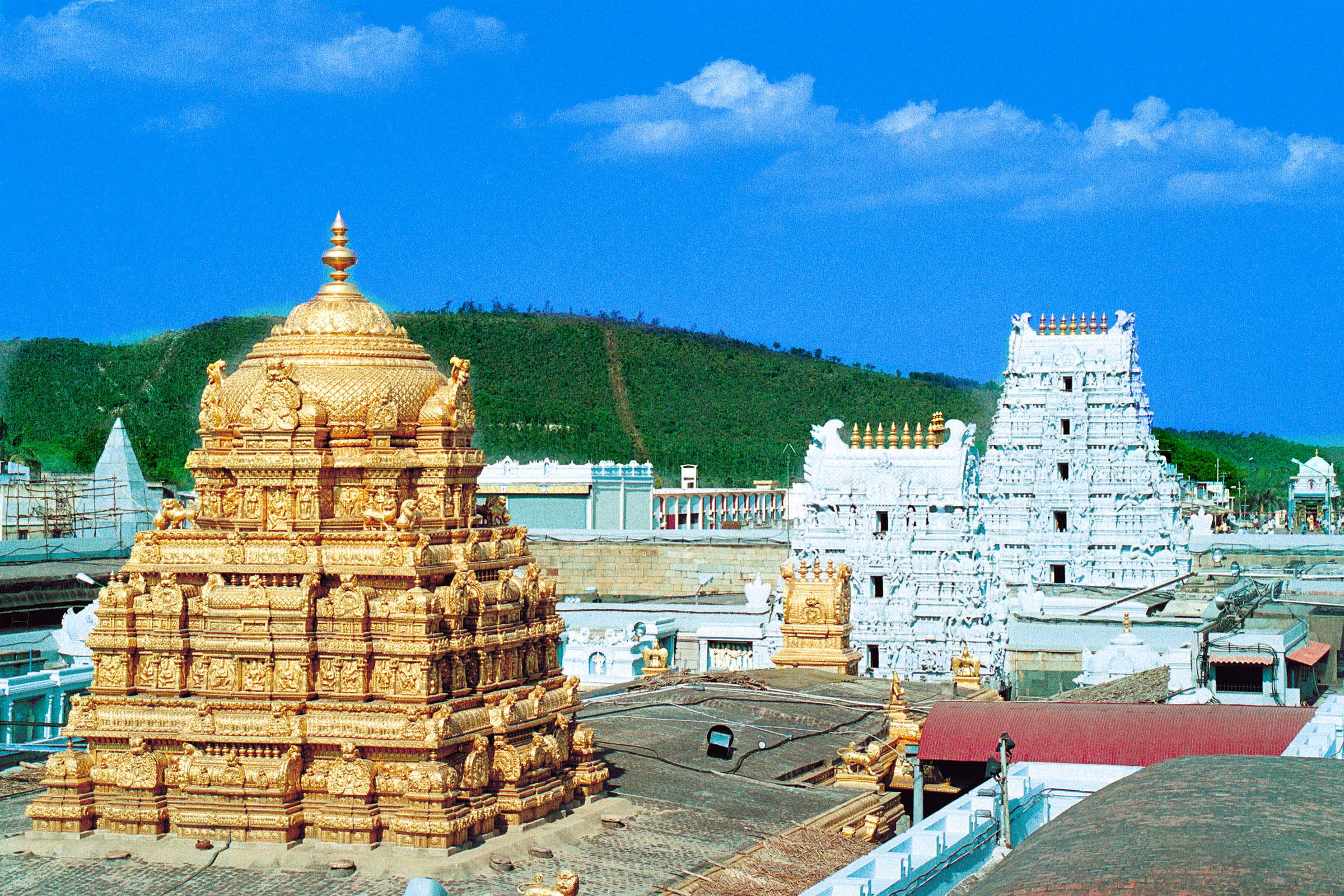 DN Darshan Tirumala Tirupati Temple Andhra Pradesh Dynamite News